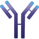 Immunovant Inc