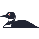 Johnson Outdoors Inc