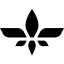 Lilium NV