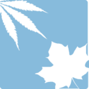OrganiGram Holdings Inc