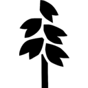 Oatly Group AB