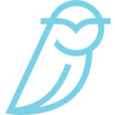 Blue Owl Capital Inc