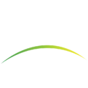 Piedmont Lithium Inc