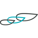 Spruce Biosciences Inc