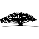 WisdomTree Inc